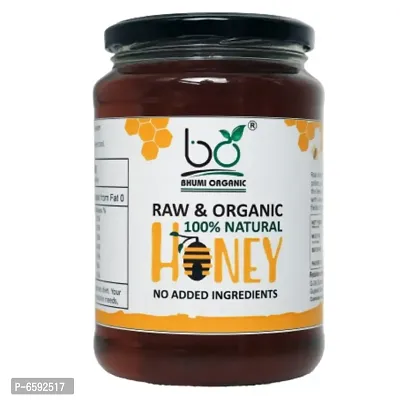 Bhumi Organic Natural Raw Honey -1000gm-thumb0