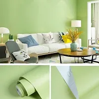 JAAMSO ROYALS Light Green Colour Plain matt Vinyl Self Adhesive Waterproof Home D?cor Wallpaper (1000 cm X 45 cm )-thumb1