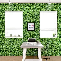 JAAMSO ROYALS Green Leaves Self Adhesive, Peel and Stick Wallpaper for Wall d?cor and Home d?cor (18"" x 118"" = 15 sq.ft)-thumb4