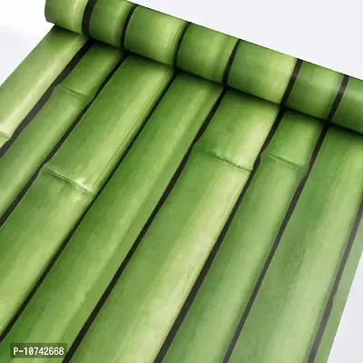 JAAMSO ROYALS Green Bamboo Tree Wallpaper Self Adhesive, Peel and Stick Wallpaper for Wall d?cor and Home d?cor (18"" x 236"")