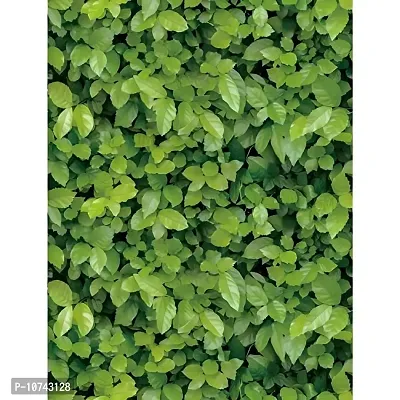 JAAMSO ROYALS Green Leaves Self Adhesive, Peel and Stick Wallpaper for Wall d?cor and Home d?cor (18"" x 118"" = 15 sq.ft)