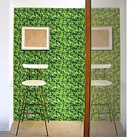 JAAMSO ROYALS Green Leaves Self Adhesive, Peel and Stick Wallpaper for Wall d?cor and Home d?cor (18"" x 118"" = 15 sq.ft)-thumb1