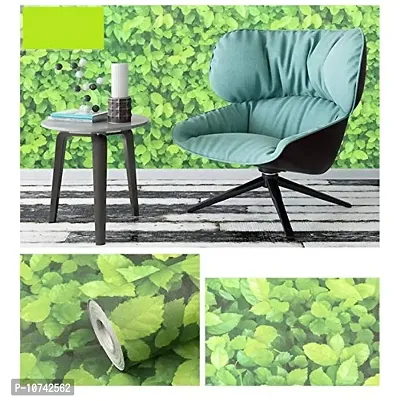 Jaamso Royals Effect Green GrassRemovable Peel and Stick Wallpaper ,Wall Sticker Wall D?cor(200 cm *45 cm)