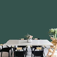 Jaamso Royals Green Plain matt Wallpaper - Self Adhesive, Water Proof, Peel and Stick Sticker (60 CMx 200 cm, Green)-thumb2