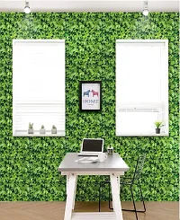 Jaamso Royals New Green Grass Peel and Stick Self Adhesive Wallpaper, Wall Sticker,Wall Poster, Wallpaper,Celling( 200 cm * 45 cm )-thumb2