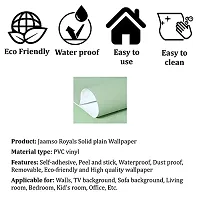Jaamso Royals Mint Green Plain matt Wallpaper - Self Adhesive, Water Proof, Peel and Stick Sticker (60 CMx 100 cm, Mint Green)-thumb4