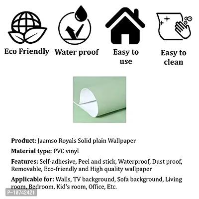 Jaamso Royals Mint Green Plain matt Wallpaper - Self Adhesive, Water Proof, Peel and Stick Sticker (60 CMx 100 cm, Mint Green)-thumb5