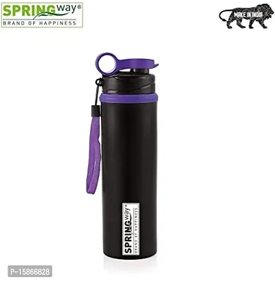 Useful Stainless Steel Water Bottle 750Ml -Set Of 1