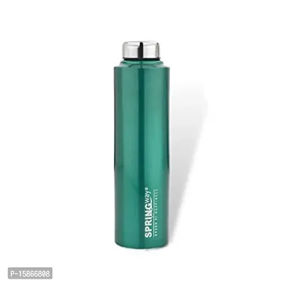 Useful Stainless Steel Water Bottle 1000Ml -Set Of 1,Green