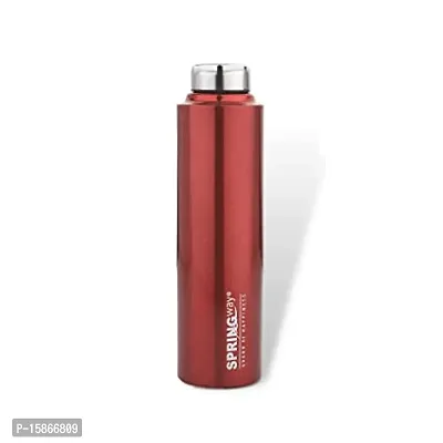 Useful Stainless Steel Water Bottle 1000Ml -Set Of 1,Red