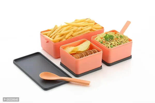 Double-Layer Square Lunch Box With 3 Compartment Tiffin-thumb2