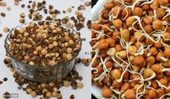 Roasted Chana Bengal Gram Chickpeas / Bhuna Chana 500 GM-thumb0