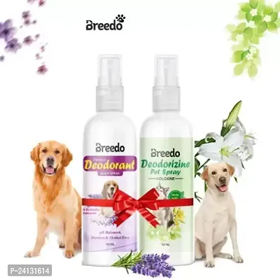 Dog Need Deodorant Perfume Spray + Deodorizing Perfume Spray Natural Cologne(200 Ml) Combo Pack