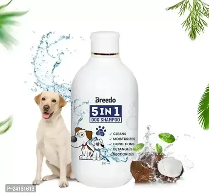 Dog 5In1 Shampoo Conditioner (250 Ml) Anti-Bacterial and Anti-Fungal Allergy Relief, Conditioning, Anti-Fungal, Anti-Microbial, Anti-Itching, Anti-Dandruff Natural Dog Shampoo(250 Ml)