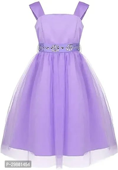 Fabulous Purple Net A-Line Dress For Girls