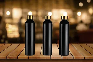 Elegant Stainless Steel Water Bottle Pack Of 6-thumb2