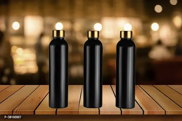 Elegant Stainless Steel Water Bottle Pack Of 6-thumb3