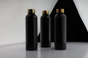 Elegant Stainless Steel Water Bottle Pack Of 6-thumb3