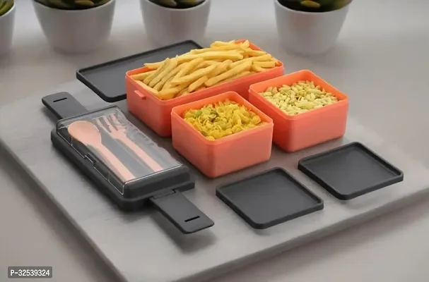 Trendy Plastic Lunch Box-thumb0