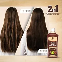 SHIKAKAI,AREETHA and AMLA 2 in 1 Shampoo + Conditioner-thumb4