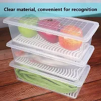 kitchen Plastic Fridge Container - 1500 ml (Pack Of 04)-thumb4