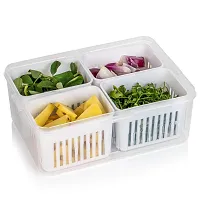 Multipurpose Fridge Storage Containers 5 In 1 For Kitchen (Pack Of 01)-thumb2