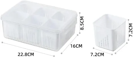 Multipurpose Fridge Storage Containers 5 In 1 For Kitchen (Pack Of 01)-thumb3