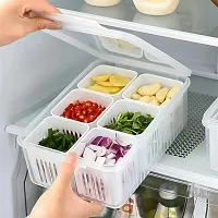 Multipurpose Fridge Storage Containers 5 In 1 For Kitchen (Pack Of 01)-thumb1