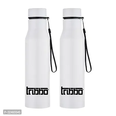 Stainless Steel Double Walled Vacuum Flask Pack Of 2-thumb0