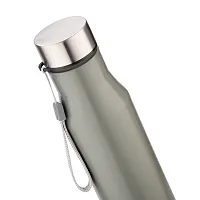 TRIBBO Stainless Steel Water Bottle 1 litre, Water Bottles For Fridge, School,Gym,Home,office,Boys, Girls, Kids, Leak Proof(GREY,1000 ML,SIPPER CAP, SET OF 1, Model-Diana)-thumb1