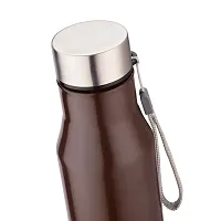 TRIBBO Stainless Steel Water Bottle 1 litre, Water Bottles For Fridge, School,Gym,Home,office,Boys, Girls, Kids, Leak Proof(BROWN,1000 ML,SIPPER CAP, SET OF 1, Model-Diana)-thumb2