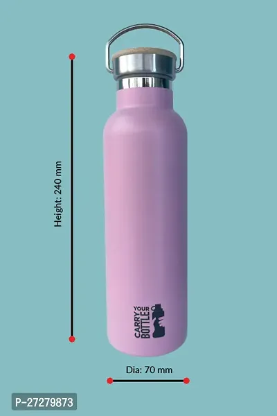 TRIBBO Stainless Steel Water Bottle - Insulated, Indestructible(MULTICOLOR)-thumb4