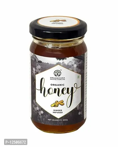 Organicana 100% Pure Ginger Infused Organic Honey 250 GMS