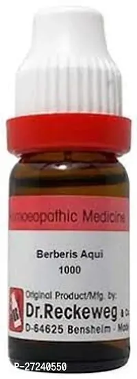 Berberis Aqui Dilution 1000 CH