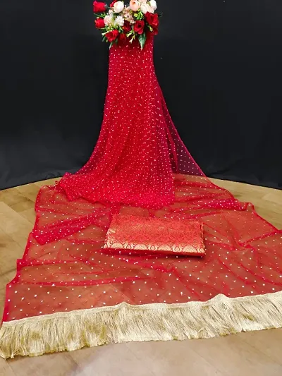 Net Jhalar Embellished Saree With Blouse Piece