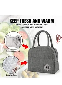 WOLF PRIDE Lunch Bag for Office Women Tiffin Box Bag Lunch Bag Thermal Insulated Waterproof and Reusable Lunch Bag for Men Women Office, School and Travel-thumb3