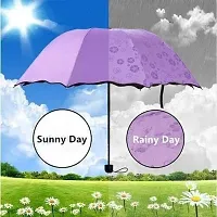 Magic Umbrella which blooms in the rain(Pack of 1)-thumb4