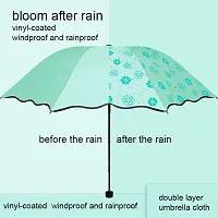 Magic Umbrella which blooms in the rain(Pack of 1)-thumb2