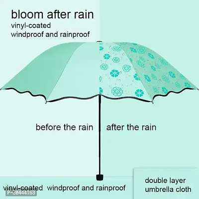 Magic Umbrella which blooms in the rain(Pack of 1)-thumb3