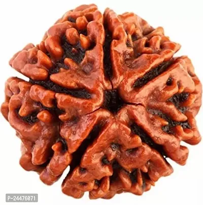 Sarvguni Five Mukhi Rudraksha-thumb0