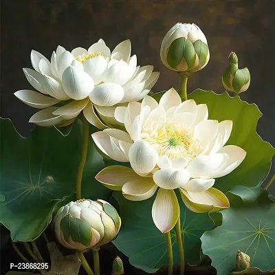 N.G.M.AGROCARE Lotus/Kamal Flower Mixed Seed  ( Pack Of 10 Seeds )-thumb2