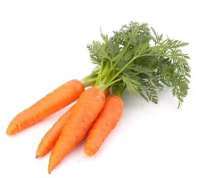 N.G.M.AGROCARE Carrot Vegetable Seed ( Pack Of 5Gram Seeds )-thumb1