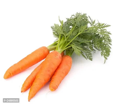 N.G.M.AGROCARE Carrot Vegetable Seed ( Pack Of 5Gram Seeds )-thumb2