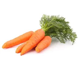 N.G.M.AGROCARE Carrot Vegetable Seed ( Pack Of 5Gram Seeds )-thumb3