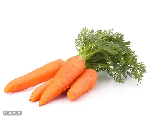 N.G.M.AGROCARE Carrot Vegetable Seed ( Pack Of 5Gram Seeds )-thumb4