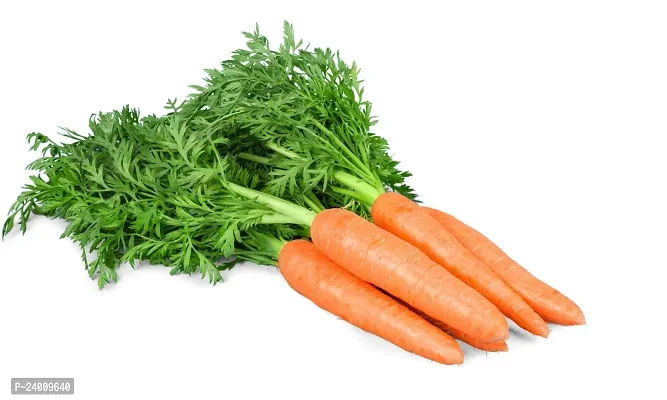 N.G.M.AGROCARE Carrot Vegetable Seed ( Pack Of 10Gram Seeds )-thumb0