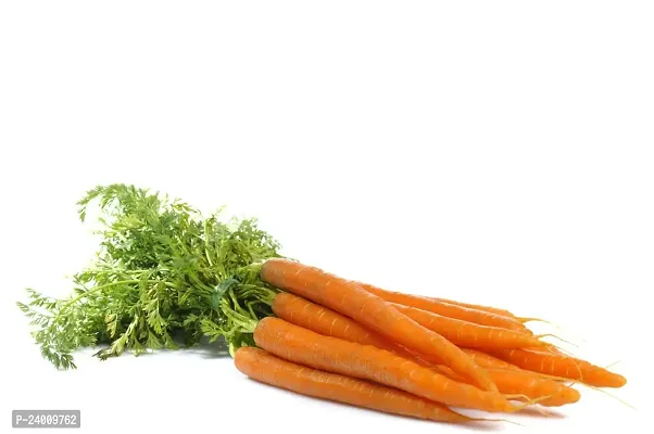 N.G.M.AGROCARE Carrot Vegetable Seed ( Pack Of 50 Seeds )-thumb2