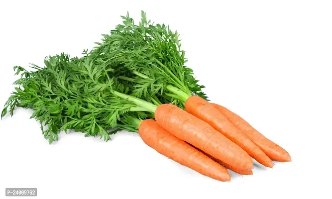 N.G.M.AGROCARE Carrot Vegetable Seed ( Pack Of 50 Seeds )-thumb3