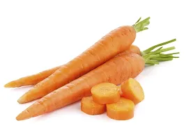 N.G.M.AGROCARE Carrot Vegetable Seed ( Pack Of 100 Seeds )-thumb2