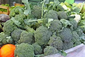 N.G.M.AGROCARE Broccoli Vegetable seed ( Pack Of 15 Broccoli Vegetable Seeds )-thumb2